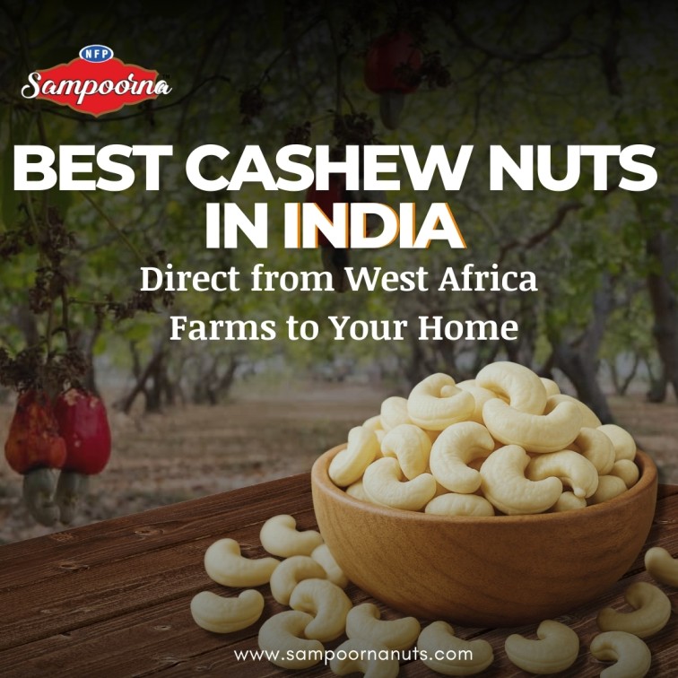NFP Sampoorna Foods Ltd.: Leading the Way in Dry Fruits Wholesale & Manufacturing in Delhi–India